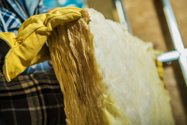 Best Residential Insulation in Madison Heights, VA
